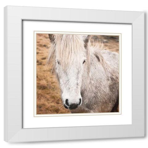 Heida IV White Modern Wood Framed Art Print with Double Matting by Marshall, Laura