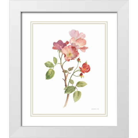 Sprigs of Summer I on White White Modern Wood Framed Art Print with Double Matting by Nai, Danhui