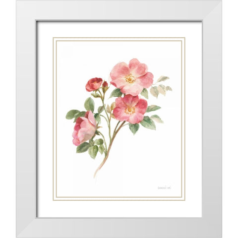 Sprigs of Summer II on White White Modern Wood Framed Art Print with Double Matting by Nai, Danhui