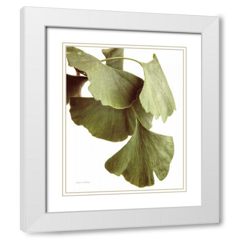 Ginko Color on White White Modern Wood Framed Art Print with Double Matting by Van Swearingen, Debra