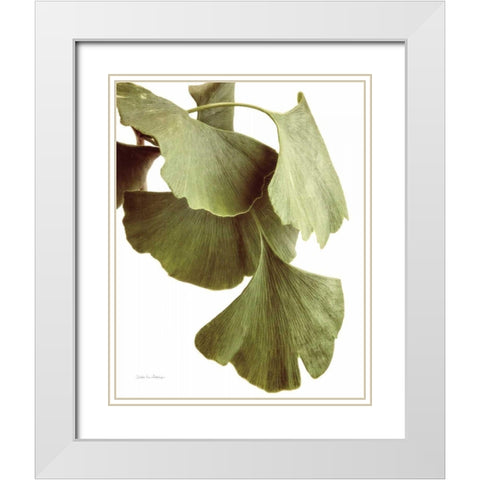 Ginko Color on White White Modern Wood Framed Art Print with Double Matting by Van Swearingen, Debra