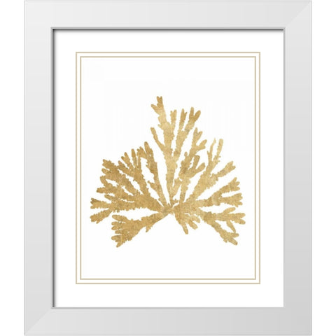 Pacific Sea Mosses IV Gold White Modern Wood Framed Art Print with Double Matting by Wild Apple Portfolio