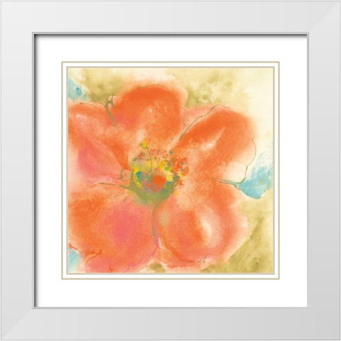 Coral Poppy II White Modern Wood Framed Art Print with Double Matting by Paschke, Chris