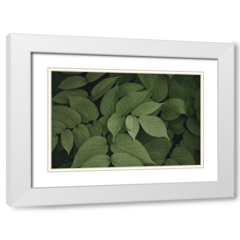 Leafy I White Modern Wood Framed Art Print with Double Matting by Urquhart, Elizabeth