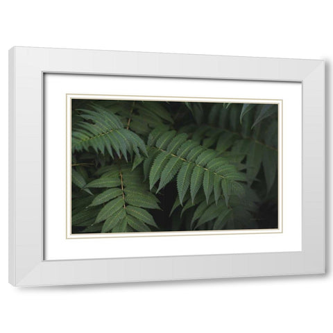Leafy V White Modern Wood Framed Art Print with Double Matting by Urquhart, Elizabeth