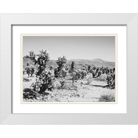 Road Trip III Crop White Modern Wood Framed Art Print with Double Matting by Urquhart, Elizabeth