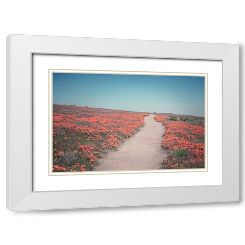 California Blooms IV White Modern Wood Framed Art Print with Double Matting by Urquhart, Elizabeth
