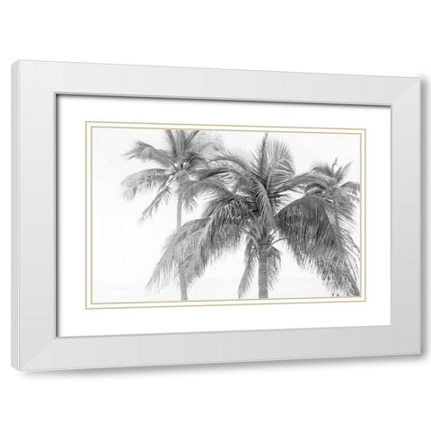 Breezy IV White Modern Wood Framed Art Print with Double Matting by Urquhart, Elizabeth