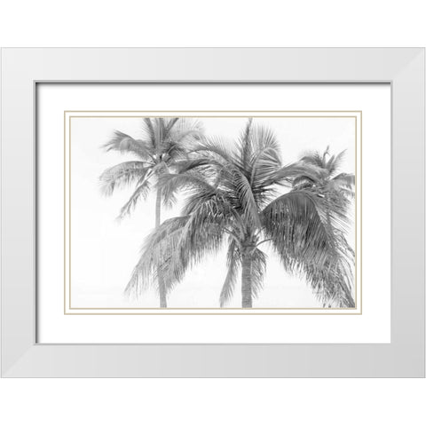 Breezy IV White Modern Wood Framed Art Print with Double Matting by Urquhart, Elizabeth