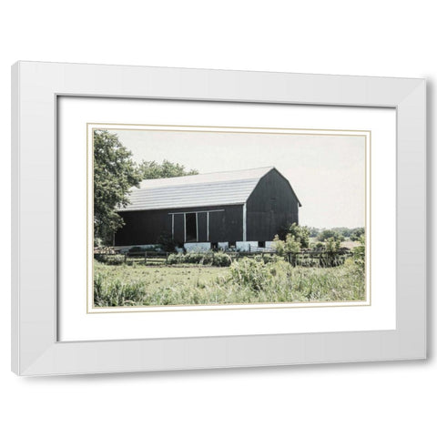 Weathered II White Modern Wood Framed Art Print with Double Matting by Urquhart, Elizabeth