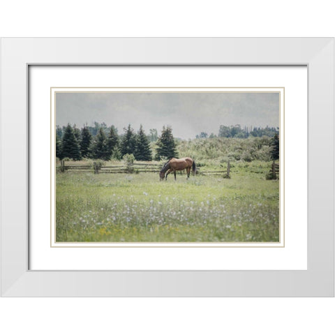 Sun Drenched II White Modern Wood Framed Art Print with Double Matting by Urquhart, Elizabeth