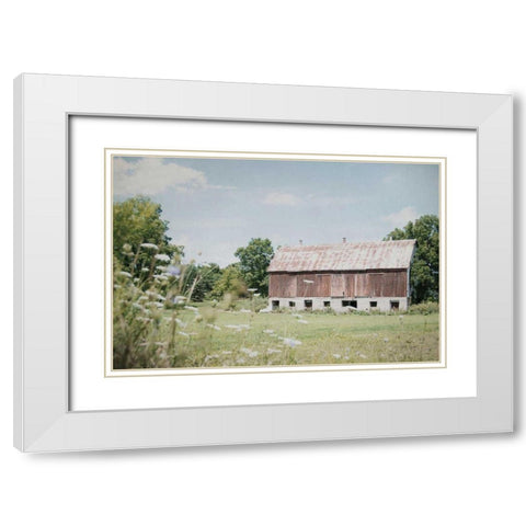 Sun Drenched IV White Modern Wood Framed Art Print with Double Matting by Urquhart, Elizabeth