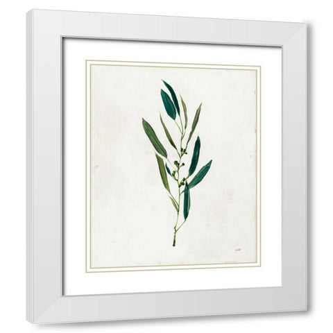Botanical Study I Greenery White Modern Wood Framed Art Print with Double Matting by Purinton, Julia