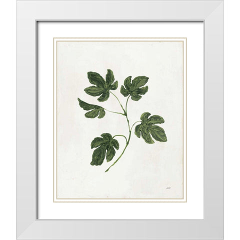 Botanical Study III Greenery White Modern Wood Framed Art Print with Double Matting by Purinton, Julia