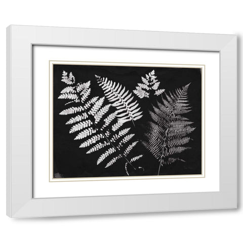 Nature by the Lake Ferns II Black Crop White Modern Wood Framed Art Print with Double Matting by Rhue, Piper