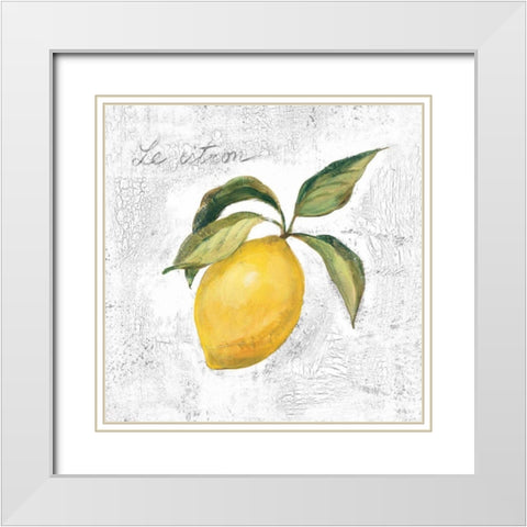 Le Citron on White White Modern Wood Framed Art Print with Double Matting by Vassileva, Silvia