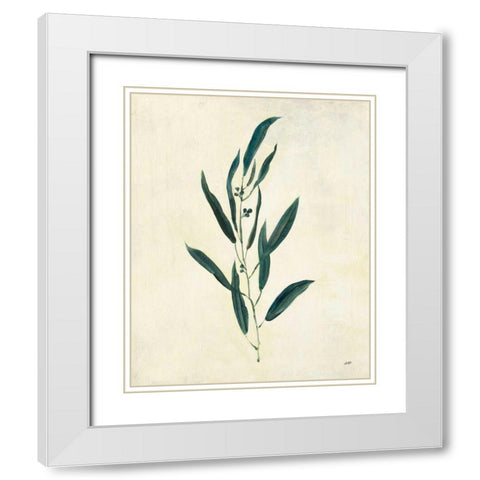 Botanical Study V White Modern Wood Framed Art Print with Double Matting by Purinton, Julia