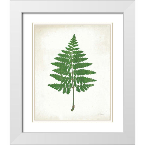 Chalkboard Fern Green II White Modern Wood Framed Art Print with Double Matting by Schlabach, Sue