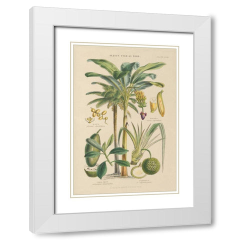 Fruit Trees White Modern Wood Framed Art Print with Double Matting by Wild Apple Portfolio