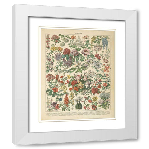 French Flower Chart White Modern Wood Framed Art Print with Double Matting by Wild Apple Portfolio