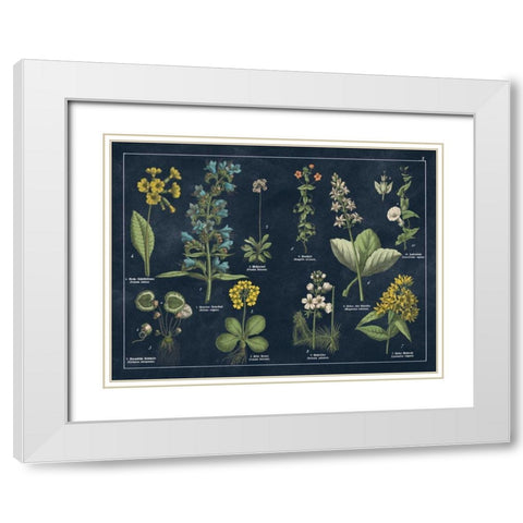 Botanical Floral Chart I Dark Blue White Modern Wood Framed Art Print with Double Matting by Wild Apple Portfolio