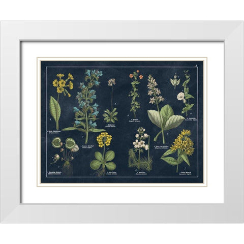 Botanical Floral Chart I Dark Blue White Modern Wood Framed Art Print with Double Matting by Wild Apple Portfolio
