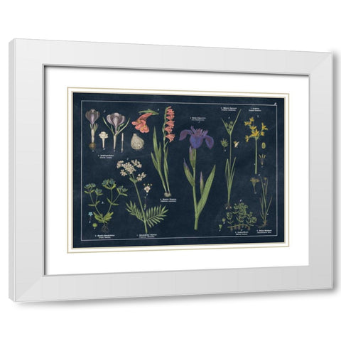 Botanical Floral Chart II Dark Blue White Modern Wood Framed Art Print with Double Matting by Wild Apple Portfolio