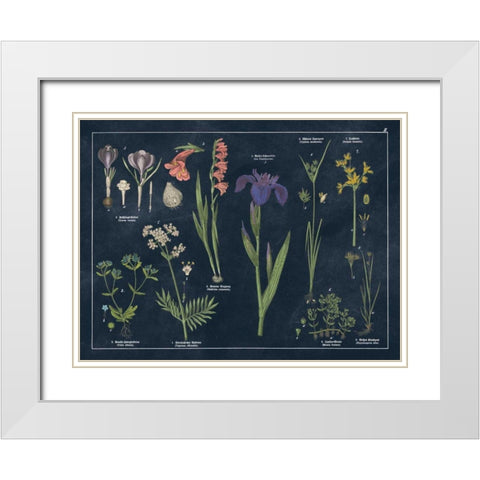 Botanical Floral Chart II Dark Blue White Modern Wood Framed Art Print with Double Matting by Wild Apple Portfolio