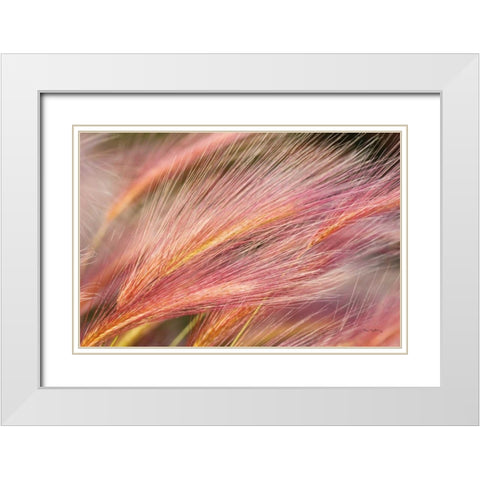 Foxtail Barley III White Modern Wood Framed Art Print with Double Matting by Majchrowicz, Alan