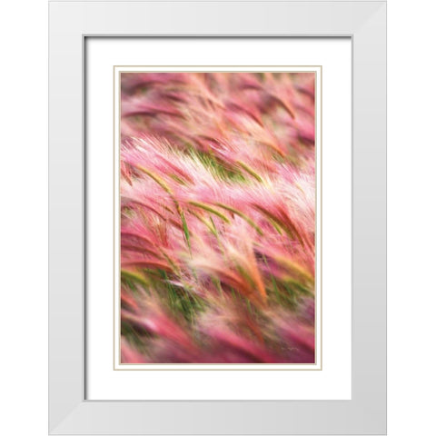 Foxtail Barley IV White Modern Wood Framed Art Print with Double Matting by Majchrowicz, Alan