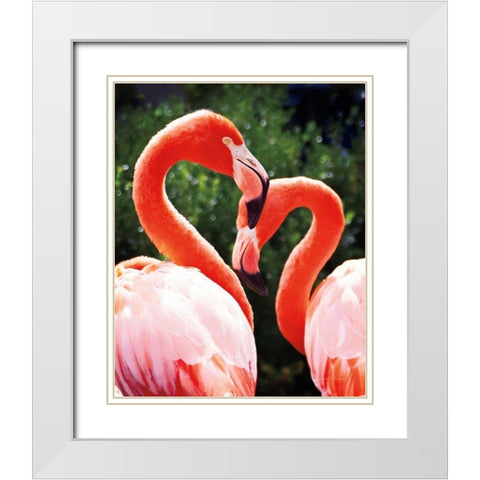 Flamingo II White Modern Wood Framed Art Print with Double Matting by Van Swearingen, Debra