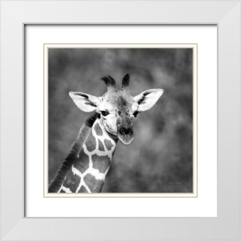 Little Guy White Modern Wood Framed Art Print with Double Matting by Van Swearingen, Debra