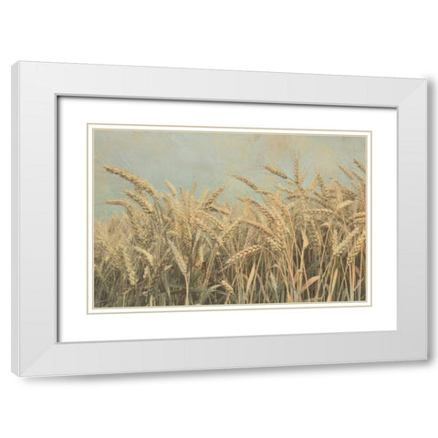 Gold Harvest White Modern Wood Framed Art Print with Double Matting by Richard, Ben