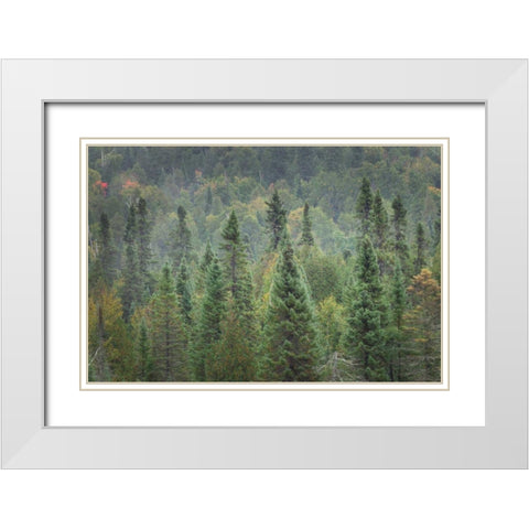 Superior National Forest I White Modern Wood Framed Art Print with Double Matting by Majchrowicz, Alan
