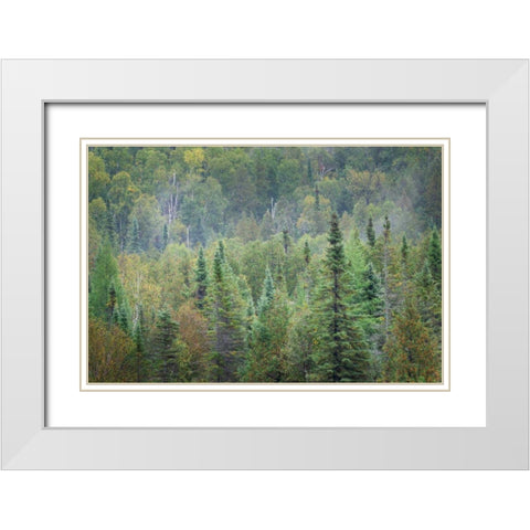 Superior National Forest II White Modern Wood Framed Art Print with Double Matting by Majchrowicz, Alan