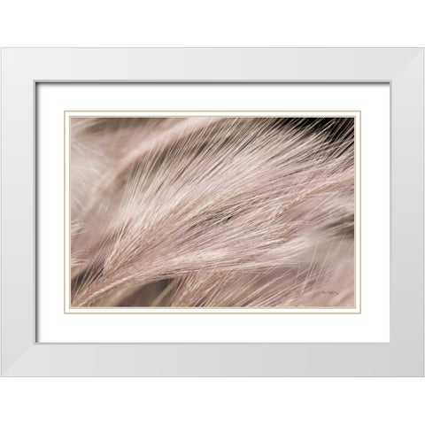 Foxtail Barley III Light White Modern Wood Framed Art Print with Double Matting by Majchrowicz, Alan