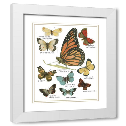Botanical Butterflies Postcard II White White Modern Wood Framed Art Print with Double Matting by Wild Apple Portfolio