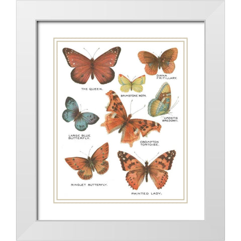 Botanical Butterflies Postcard IV White White Modern Wood Framed Art Print with Double Matting by Wild Apple Portfolio