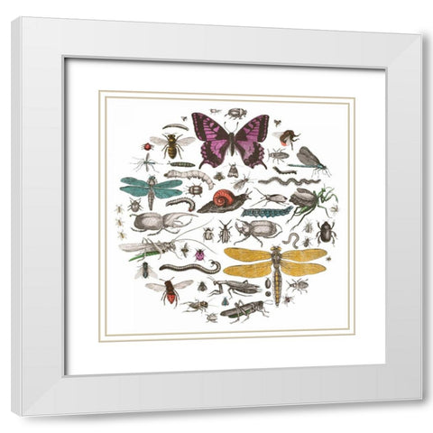 Insect Circle II Bright v2 White Modern Wood Framed Art Print with Double Matting by Wild Apple Portfolio