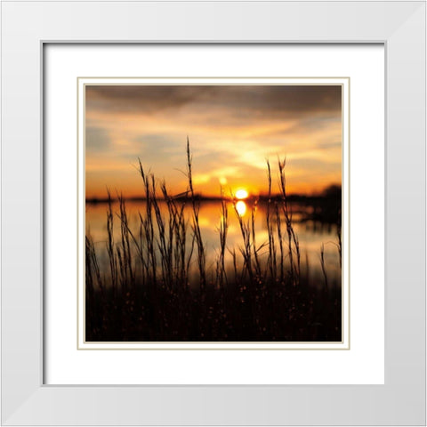Maryland Sunset II White Modern Wood Framed Art Print with Double Matting by Aledanda