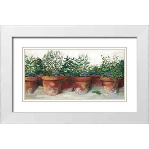 Pots of Herbs I White White Modern Wood Framed Art Print with Double Matting by Rowan, Carol