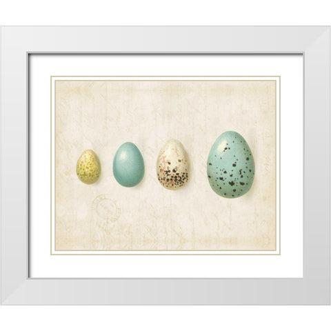 Row of Eggs II White Modern Wood Framed Art Print with Double Matting by Pertiet, Katie
