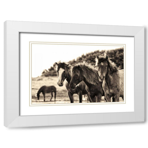 Horses Three Sepia White Modern Wood Framed Art Print with Double Matting by Aledanda