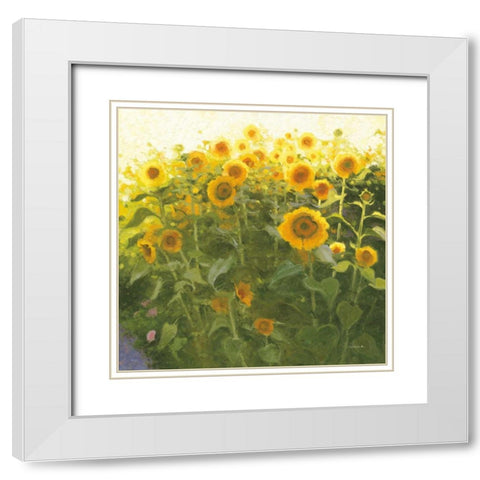 Sunflower Field White Modern Wood Framed Art Print with Double Matting by Novak, Shirley