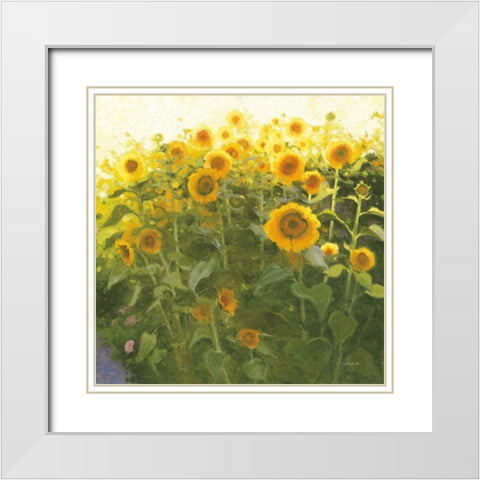 Sunflower Field White Modern Wood Framed Art Print with Double Matting by Novak, Shirley