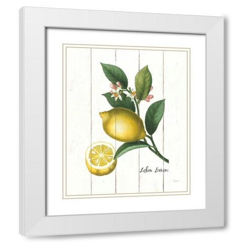 Cottage Lemon I White Modern Wood Framed Art Print with Double Matting by Schlabach, Sue