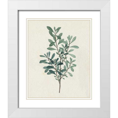 Victorian Garden Greenery I White Modern Wood Framed Art Print with Double Matting by Wild Apple Portfolio