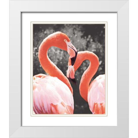 Flamingo II on BW White Modern Wood Framed Art Print with Double Matting by Van Swearingen, Debra
