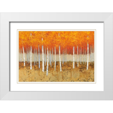 Autumn Birches White Modern Wood Framed Art Print with Double Matting by Wiens, James
