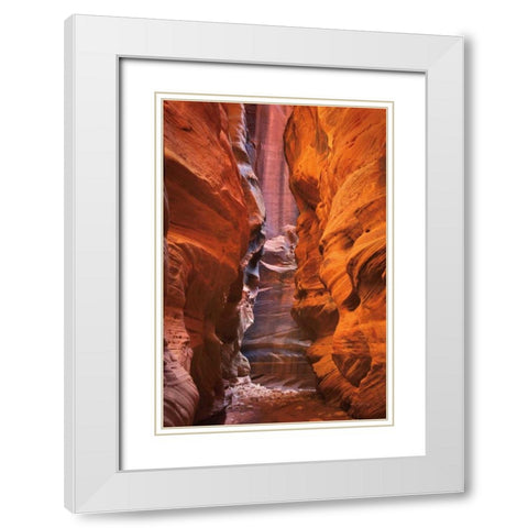 Buckskin Gulch IV White Modern Wood Framed Art Print with Double Matting by Majchrowicz, Alan